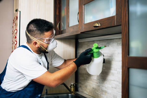 Best Local Pest Control Services  in Key West, FL