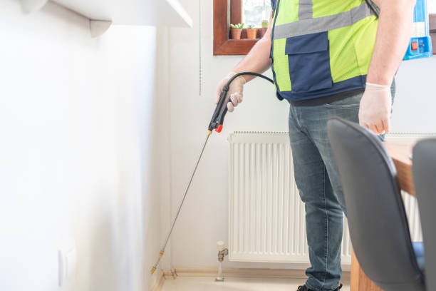 Best Best Pest Control Companies  in Key West, FL