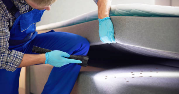 Best Emergency Pest Control  in Key West, FL