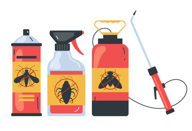 Best Termite Control Services  in Key West, FL