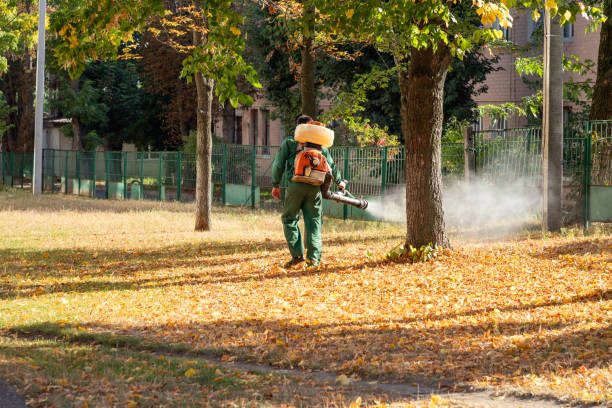 Best Affordable Pest Control Services  in Key West, FL