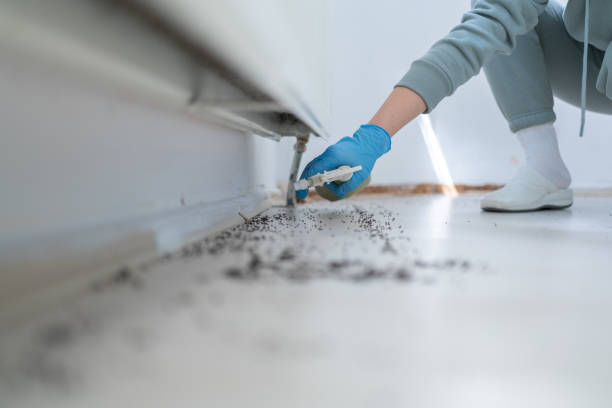 Best Pest Control Near Me in Key West, FL